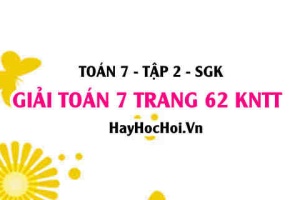 Giải Toán 7 trang 62 tập 2 Kết nối tri thức